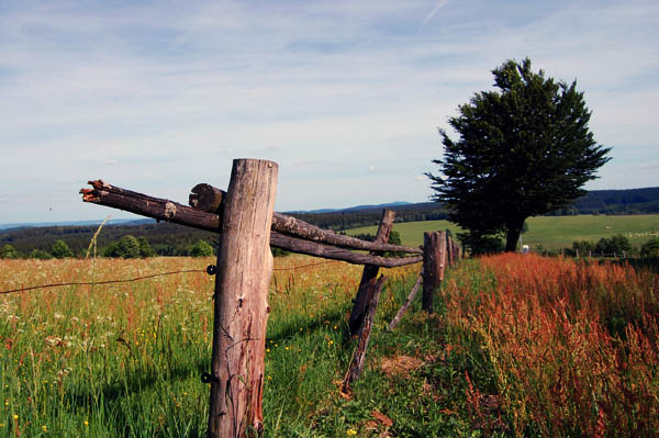 German - Czech border